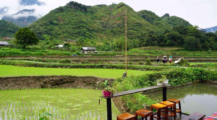 Kinh nghiệm đi Hà Giang tự túc 4 ngày 4 đêm với ngân sách 4 triệu đồng.