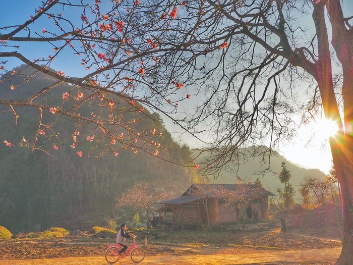 Bạn đã biết về kế hoạch trekking và tham gia Kayak trên cao nguyên đá chưa? 6
