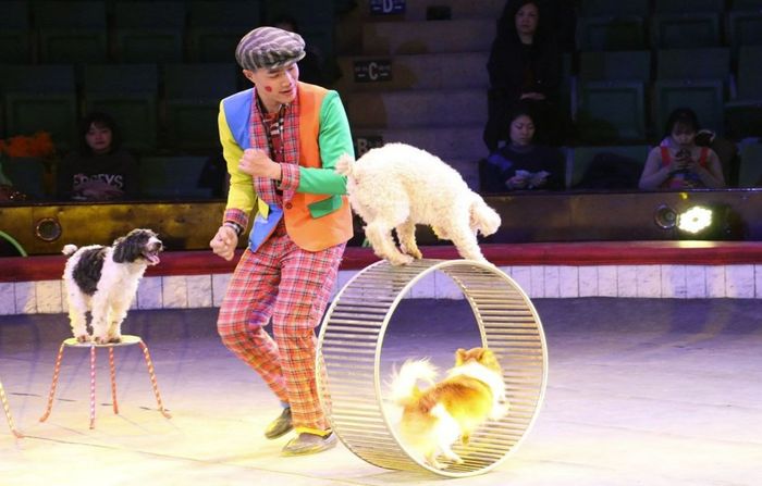 Danh sách địa điểm vui chơi Trung thu tại Hà Nội