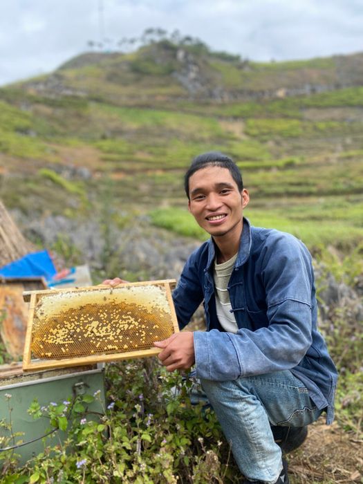 Mật ong bạc hà Hà Giang - Thần dược thiên nhiên trên cao nguyên đá 5