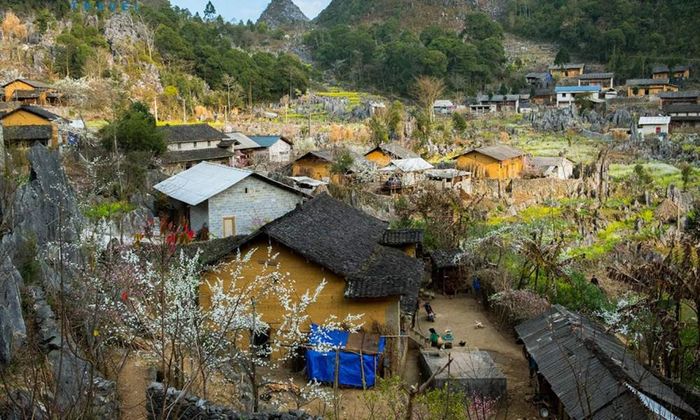 Kế hoạch khám phá Hoàng Su Phì tự túc 8 ngày 7 đêm - Phần 10