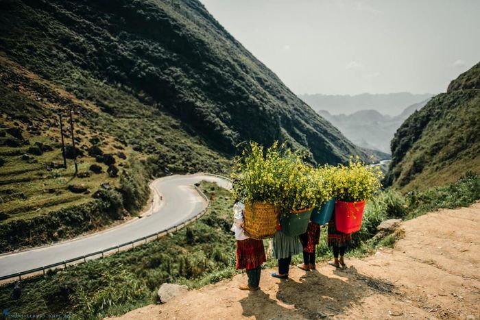 Tổng hợp chi tiết lịch trình tự túc 3 ngày 4 đêm tại Hà Giang.