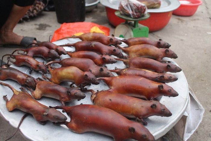 Khi đến Hà Giang, đừng quên thưởng thức món đặc sản thịt chuột La Chí đã khiến nhiều người phải bật khóc.