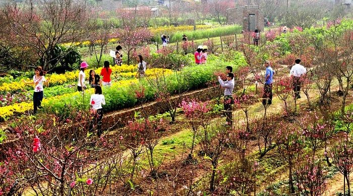 Du lịch Tết Hà Nội