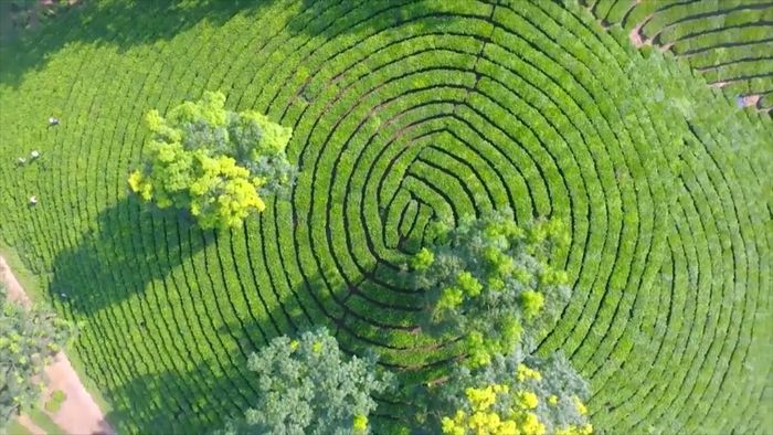 - Gợi ý lịch trình tự túc 2 ngày 2 đêm tại Hà Giang bằng xe máy chi tiết