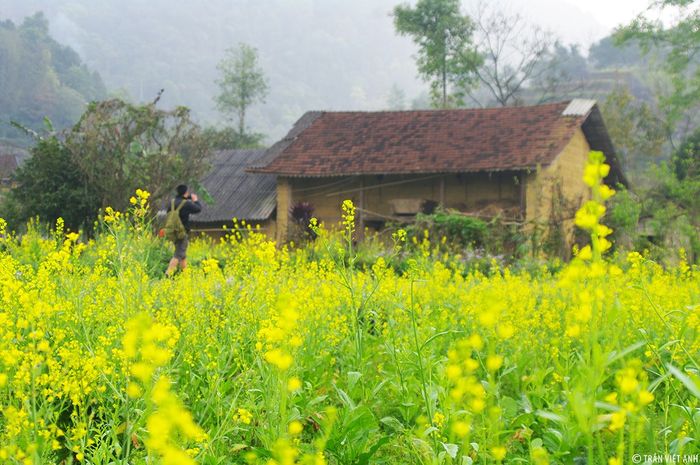 Khám phá nét đẹp văn hóa đặc sắc tại Chợ Quyết Tiến Hà Giang 5