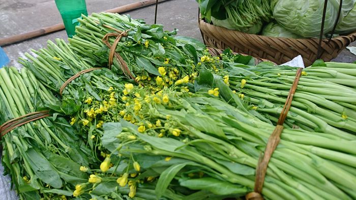 Không thể quên được cảm giác cay nồng trên đầu lưỡi khi thưởng thức món rau cải cay Hà Giang lần thứ năm