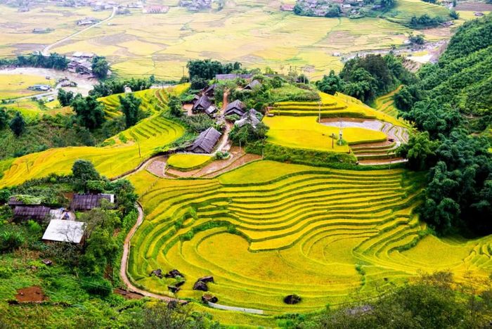 Lập kế hoạch khám phá Hoàng Su Phì tự túc trong 8 ngày 7 đêm - Phần 3