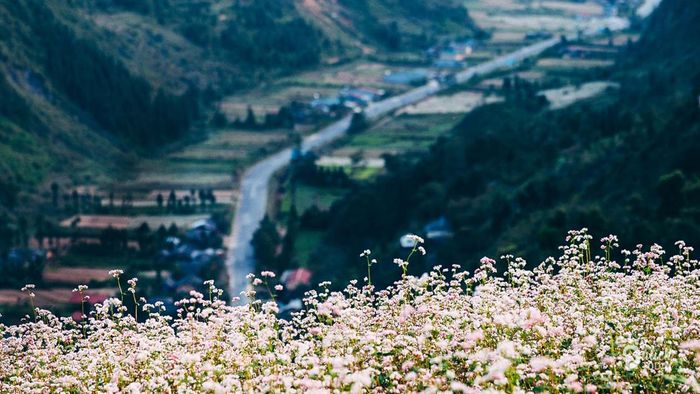 Kinh nghiệm du lịch tự túc Đồng Văn - Hà Giang: An toàn và thú vị 4