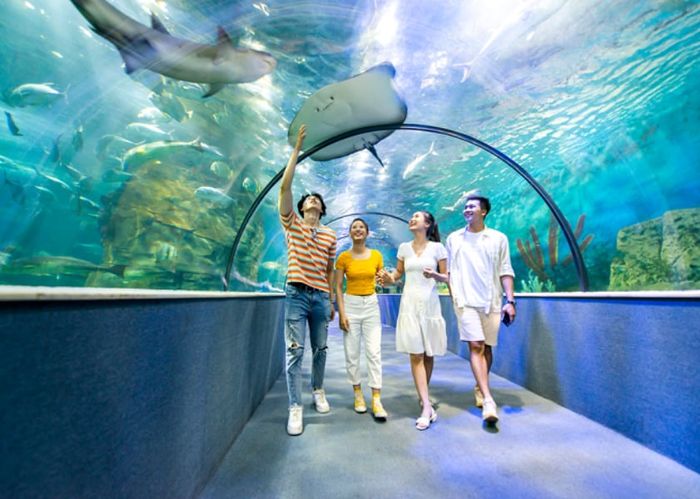 Chân gà nướng Hà Nội