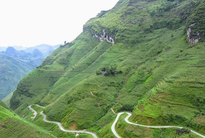 Lập kế hoạch tự túc khám phá Hà Giang trong 4 ngày 3 đêm săn hoa gạo đỏ chi tiết từ A đến Z 8