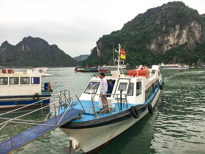 Hãy lưu ngay lịch trình đi đảo Cô Tô 2 ngày 1 đêm để trải nghiệm chuyến đi vui vẻ hết mình!
