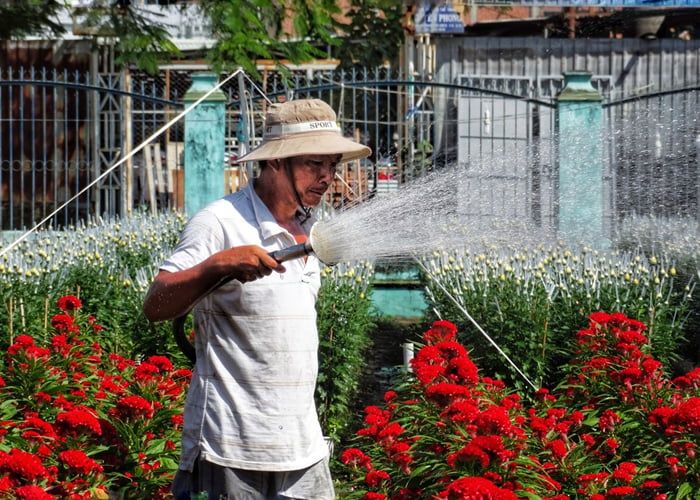 Gò Vấp có những gì để giải trí?