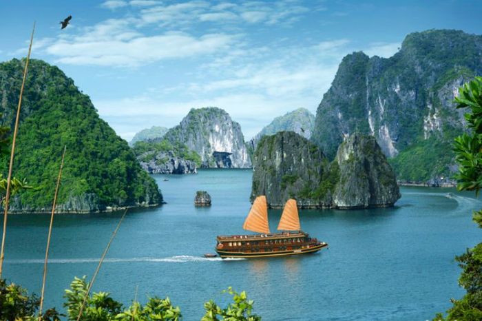 Khám phá Vịnh Hạ Long trong một ngày với nhiều trải nghiệm đáng nhớ
