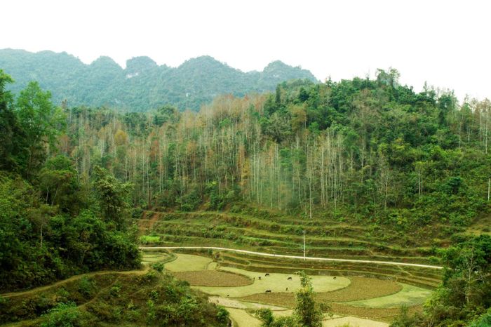 Đánh giá Hà Giang 3 ngày 3 đêm dành cho nhóm những người yêu thích khám phá và phiêu lưu
