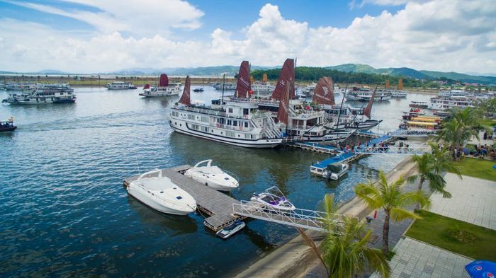 Trải nghiệm du lịch Vịnh Hạ Long trong một ngày đầy thú vị
