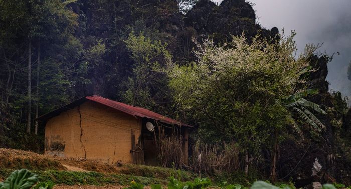 Đánh giá Hà Giang 3 ngày 3 đêm dành cho nhóm những người yêu thích khám phá và phiêu lưu
