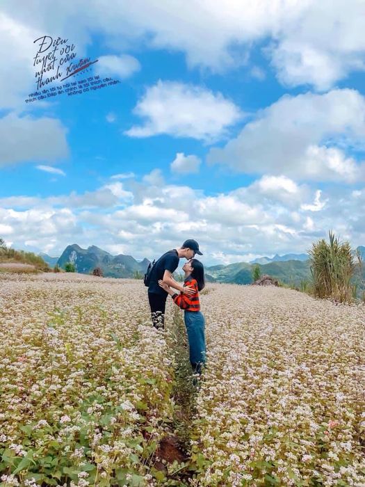 Đánh giá chuyến đi Hà Giang 2N2Đ cùng Thương Trịnh có điều gì thú vị? 7