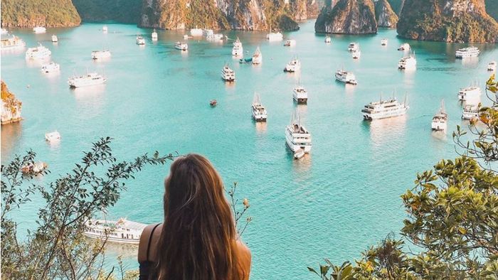Đảo Ti Tốp - Thưởng ngoạn hòn đảo yên bình giữa lòng vịnh Hạ Long.
