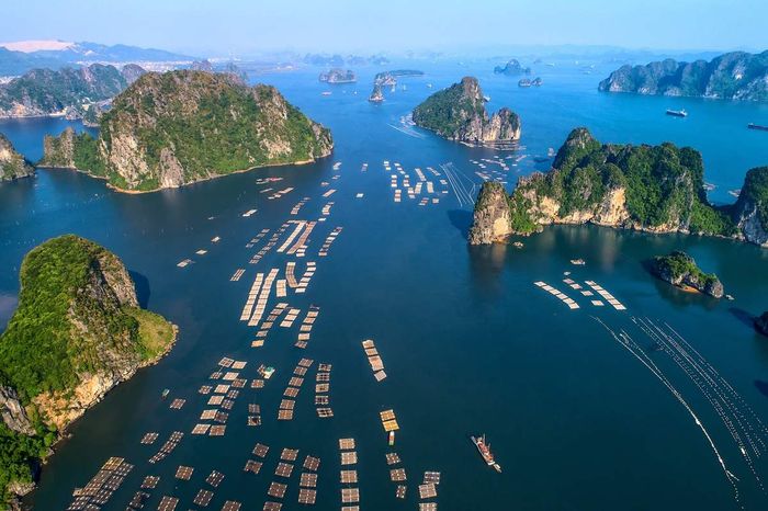Khám phá Hạ Long - Bay cùng Phạm Duy Long ngắm nhìn Hạ Long từ trên cao 2