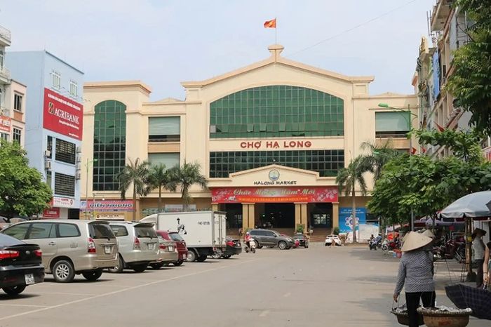 Hướng dẫn lịch trình du lịch tự túc 3 ngày 2 đêm tại Quảng Ninh
