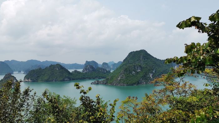 Đảo Ti Tốp - Ngắm nhìn hòn đảo yên bình giữa lòng vịnh Hạ Long.