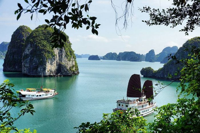 Gợi ý lịch trình du lịch Quảng Ninh 3 ngày 2 đêm tự túc 5