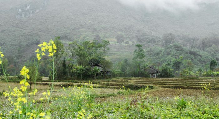 Đánh giá Hà Giang 3 ngày 3 đêm dành cho nhóm những người yêu thích khám phá và phiêu lưu