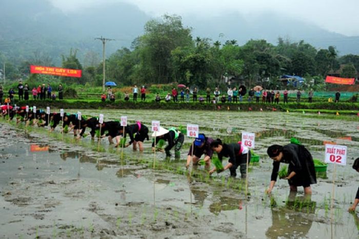 Lễ hội Lồng Tồng của dân tộc Tày ở Hà Giang - Sự kiện xuống đồng độc đáo