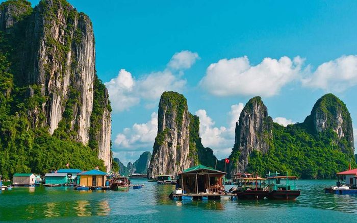 Vịnh Hạ Long - Tuyệt phẩm nghệ thuật của tự nhiên 6