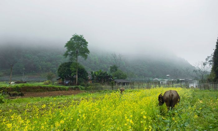 Đánh giá Hà Giang 3 ngày 3 đêm dành cho nhóm những người yêu thích khám phá và phiêu lưu