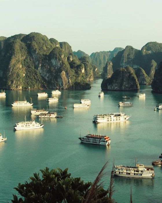 Chia sẻ ngay kinh nghiệm thuê du thuyền ở Hạ Long chi tiết luôn nhé! 6
