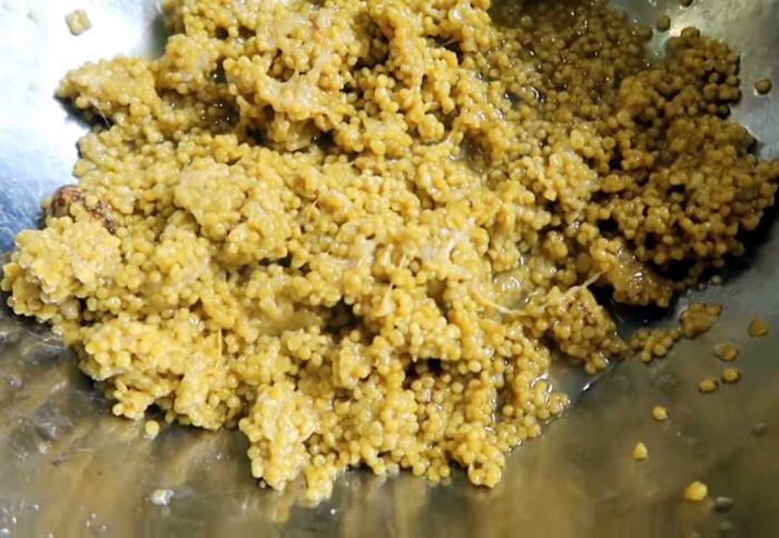 Khám phá Sam biển Hạ Long và thưởng thức những món ngon đặc sản không thể bỏ lỡ