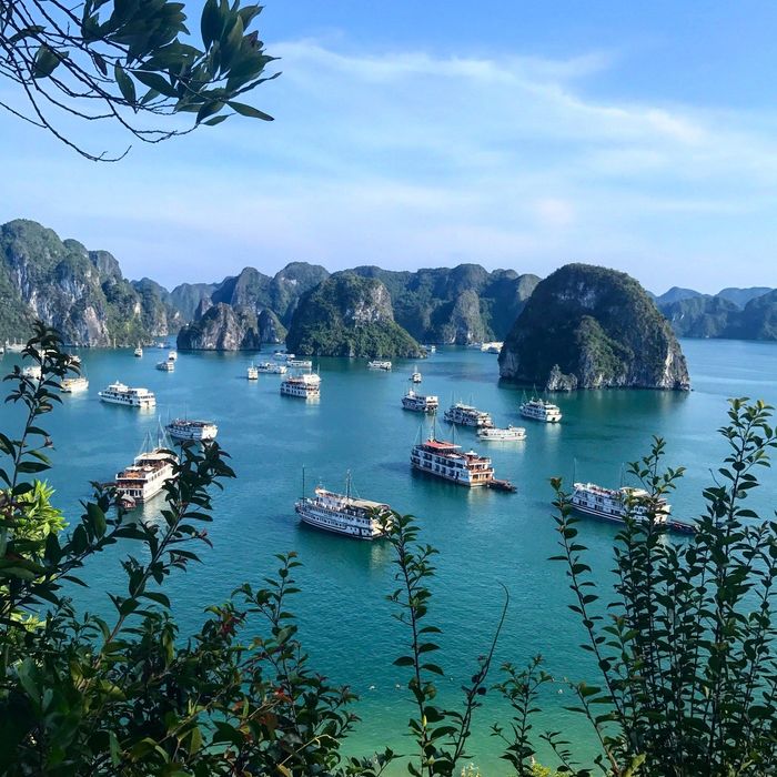 Thưởng ngoạn hòn đảo yên bình giữa lòng vịnh Hạ Long 7