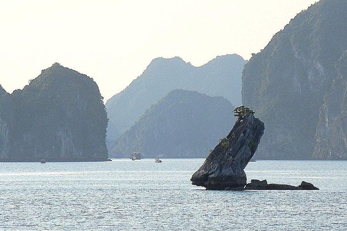 Hòn Con Cóc nằm yên bình giữa sóng biển trùng điệp, với hình dáng của con cóc nằm thoải mái, ung dung ngẩng đầu lên trời, chờ đợi cho mưa tuôn.