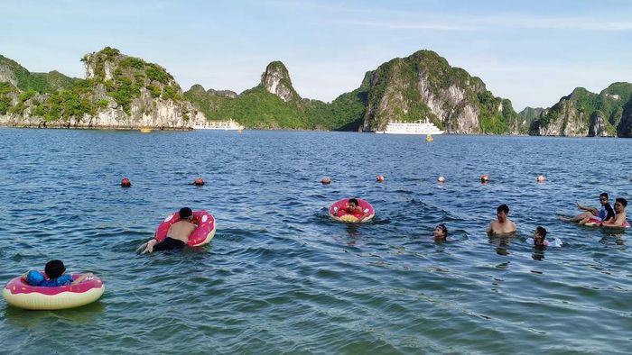 Hòn Ti Tốp - Thưởng thức cảnh đẹp của hòn đảo yên bình giữa lòng vịnh Hạ Long 11