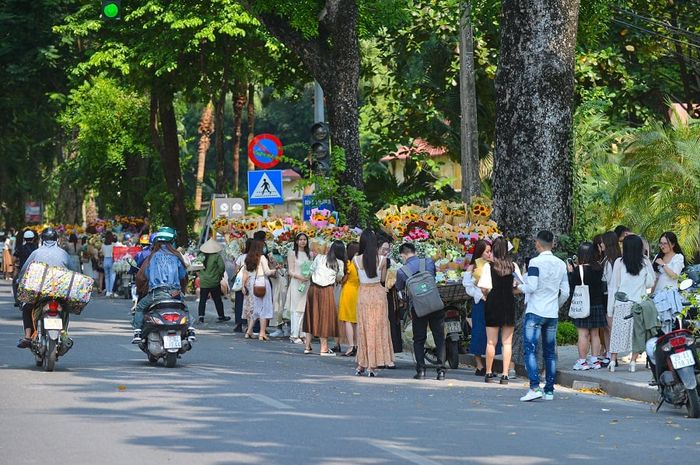 Đường Hoàng Diệu - Tuyệt tác thiên nhiên nằm ở quận Ba Đình, Hà Nội