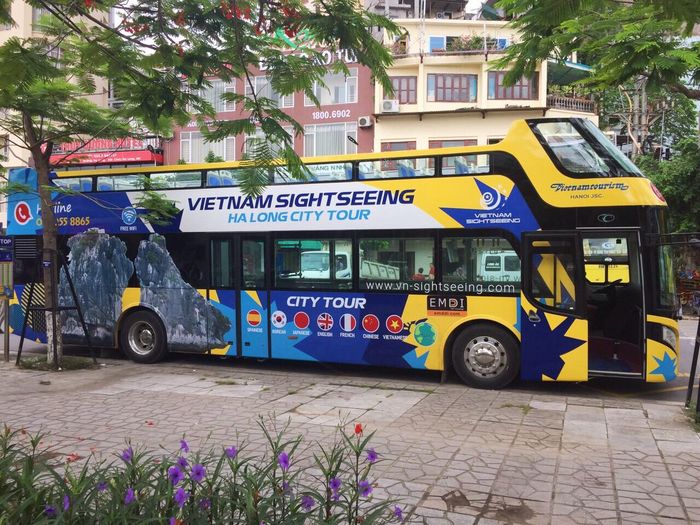 Trải nghiệm thú vị khi đi tour bằng xe buýt ở Hạ Long