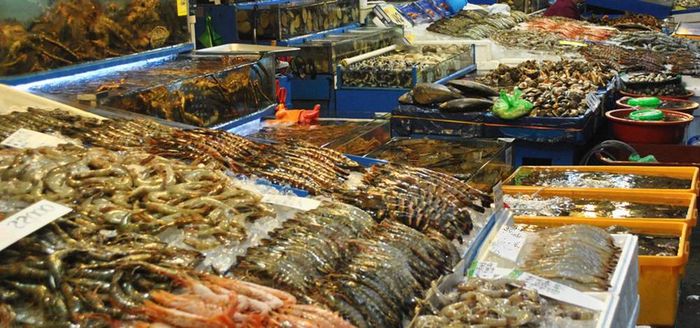 Khám phá Sam biển Hạ Long và thưởng thức những món ngon đặc sản không thể bỏ lỡ