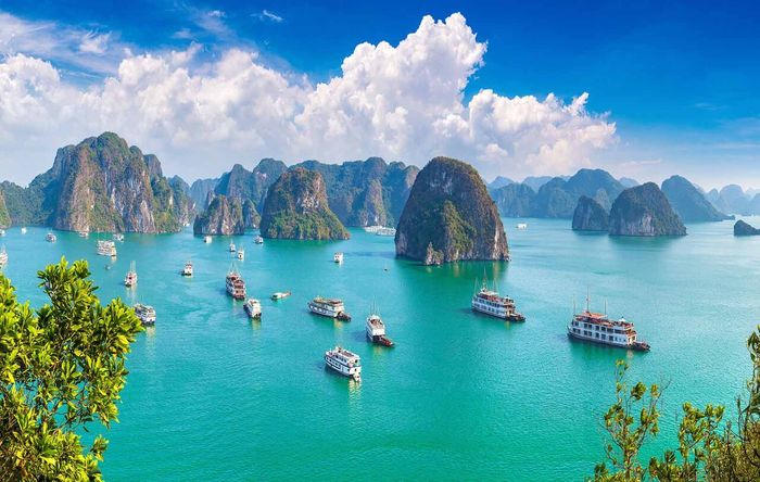 Hướng dẫn cách phân biệt các vùng ở Vịnh Hạ Long