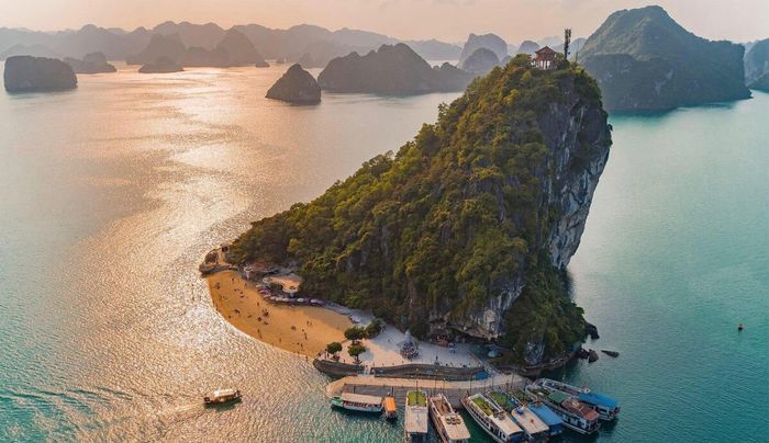 Trải nghiệm hòn đảo yên bình giữa vịnh Hạ Long tại Đảo Ti Tốp