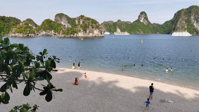 Đảo Ti Tốp - Ngắm nhìn hòn đảo yên bình nằm giữa lòng vịnh Hạ Long.
