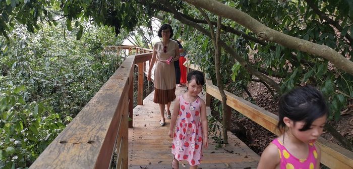Bí quyết cho việc đưa trẻ nhỏ đi tham quan Hạ Long dành cho các mẹ bỉm sữa