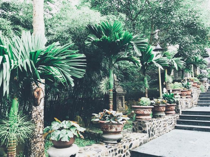 Chùa Yên Tử - Rời xa thành phố đông đúc, chúng ta hành hương về nơi thanh tịnh