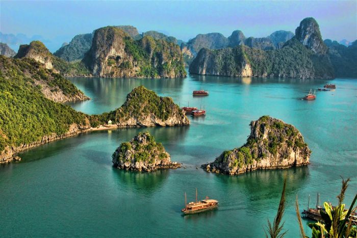 Chuỗi ngày khám phá Hạ Long 2N1Đ, một hành trình hấp dẫn cho những người đam mê khám phá.