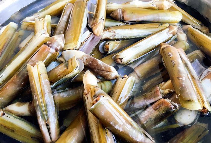 Hương vị thơm ngọt của món ốc móng tay chỉ có tại vùng biển Quảng Ninh