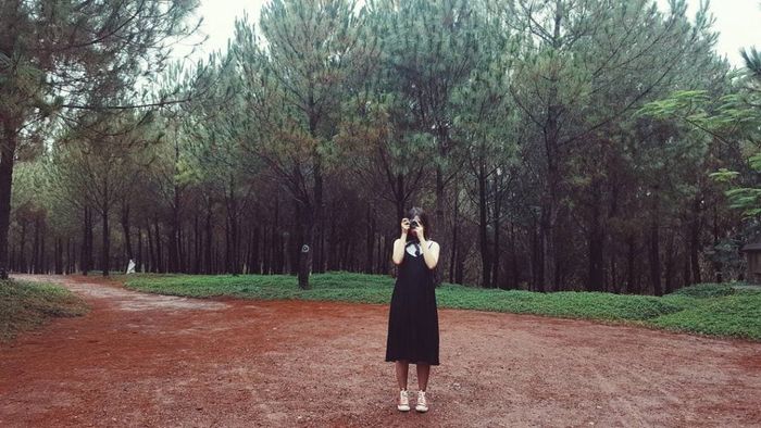 đồi vọng cảnh huế