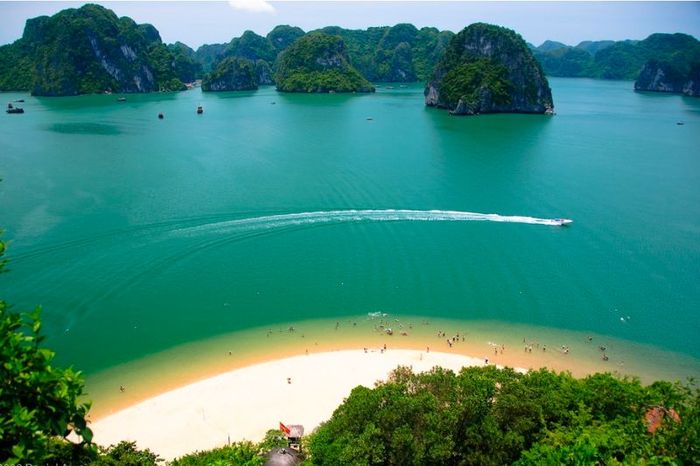 Khám phá Vịnh Hạ Long trong một ngày với nhiều trải nghiệm đáng nhớ