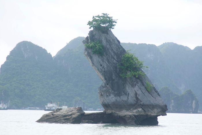 Hòn Con Cóc nằm yên bình giữa sóng biển trùng điệp, với tư thế của con cóc đang nằm thoải mái, ung dung ngẩng đầu lên trời đợi cho mưa tuôn.