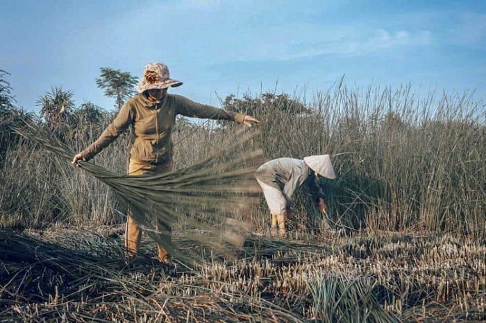 làng chiếu Bàn Thạch